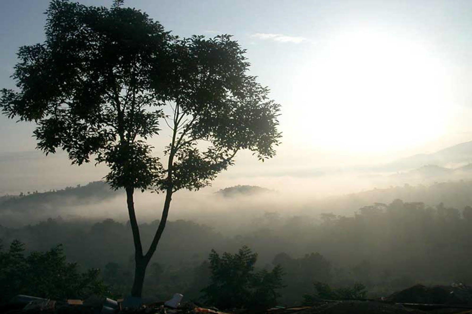 Chiang Rai Valley Resort @Doi Hom Fha Mae Chan Dış mekan fotoğraf
