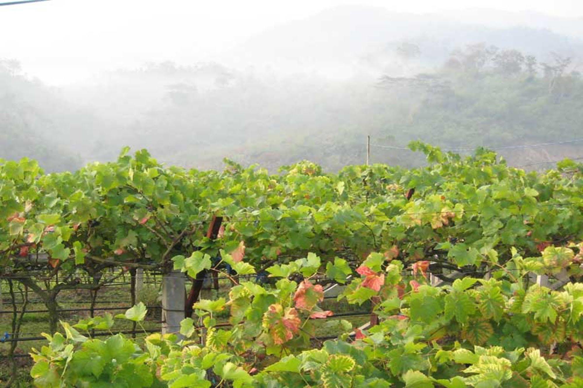 Chiang Rai Valley Resort @Doi Hom Fha Mae Chan Dış mekan fotoğraf