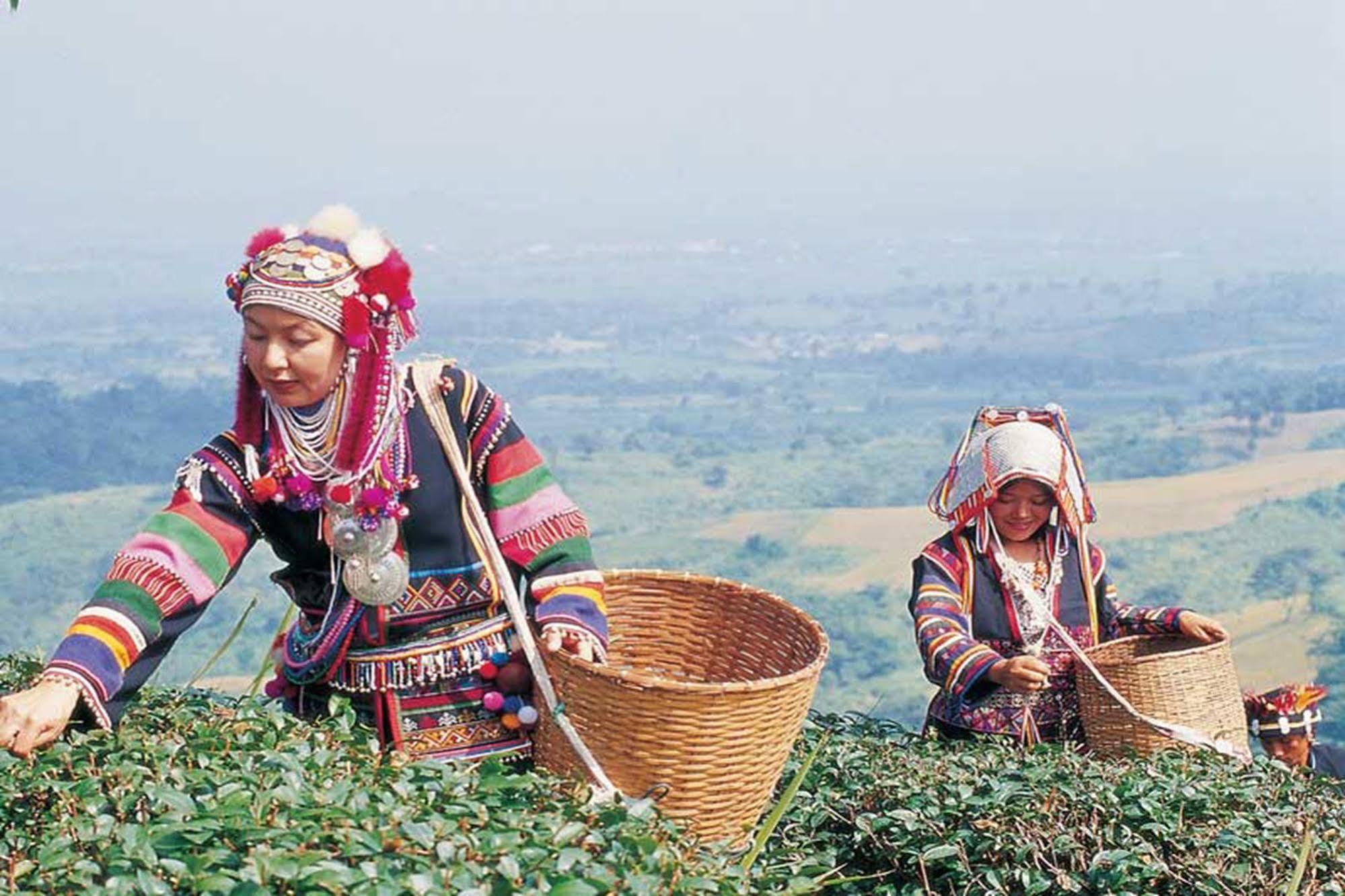 Chiang Rai Valley Resort @Doi Hom Fha Mae Chan Dış mekan fotoğraf